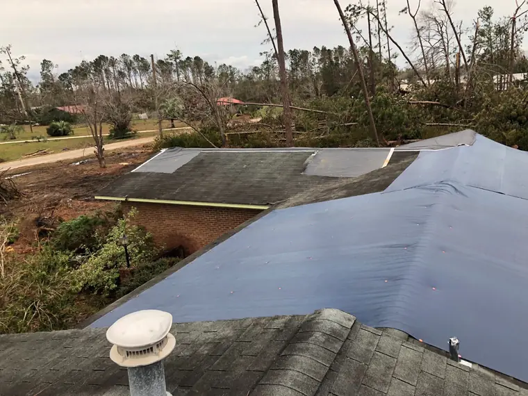 Emergency tarping after a hurricane, with downed pines all around