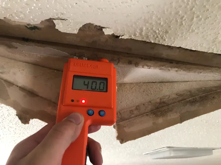 Moisture meter reading on a wet ceiling with early mold