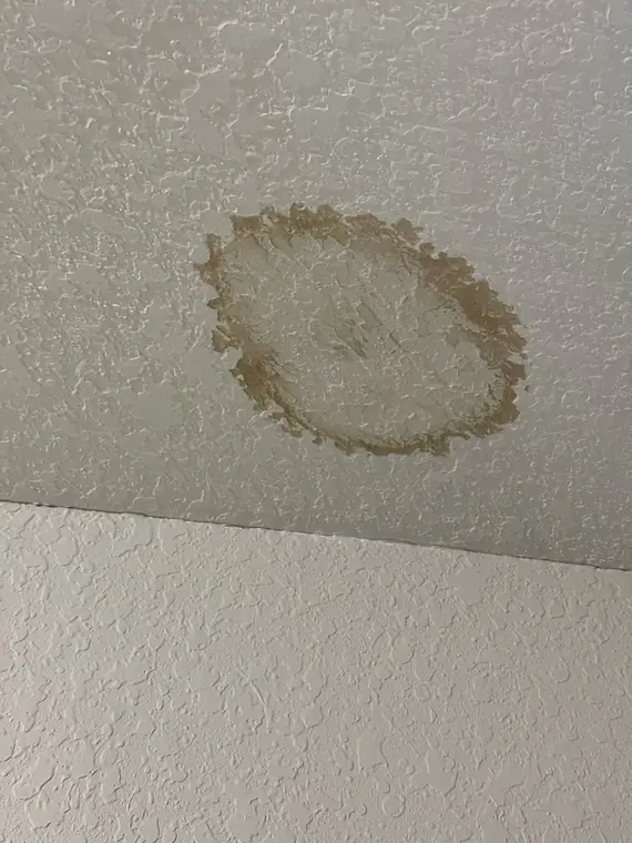 Water-stain ring from a roof leak
